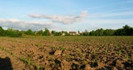 British Farmland