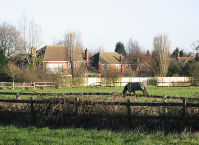 Pony Paddock