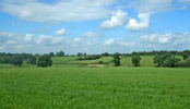 Balsall Common, Warwickshire