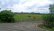 Barby, Northamptonshire