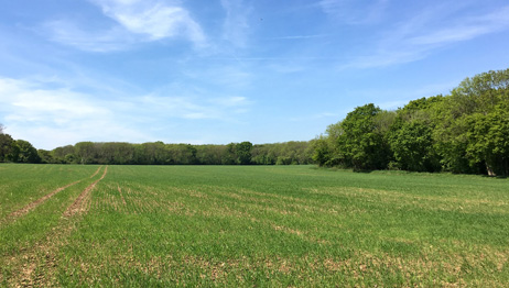 Land for Sale in Guildford, Surrey