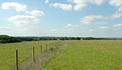 Land for Sale near London