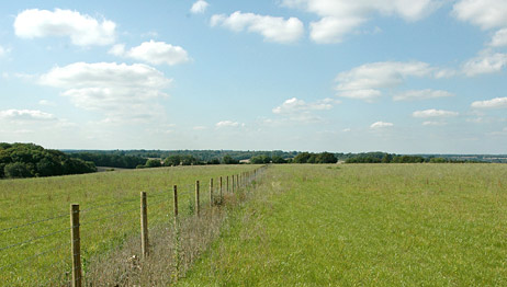 Land for Sale near London