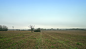 Maldon, Essex