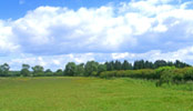 Land for Sale in Markfield, Leicestershire