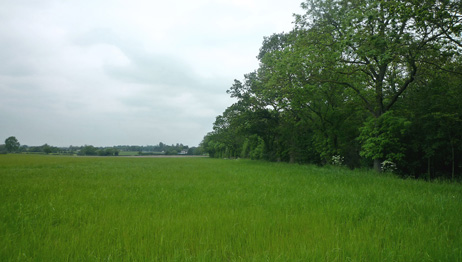 Land for Sale near Birmingham